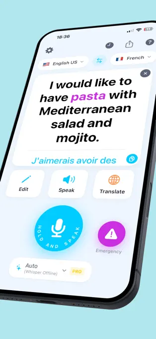 Read recognised speech in large text on the main screen